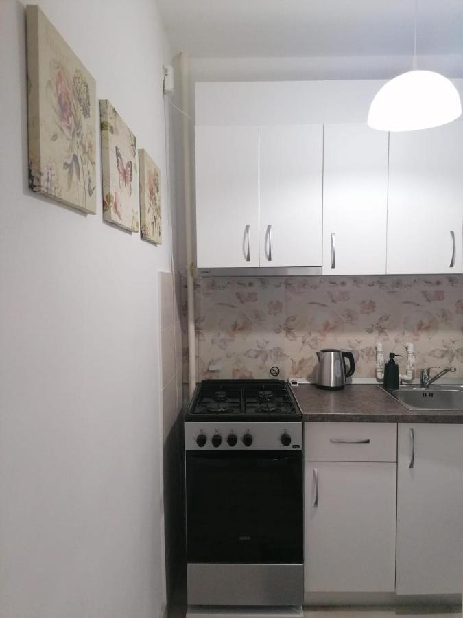 Laroka House Cosy And Modern Apartment Universitate-City Centre Bucarest Extérieur photo